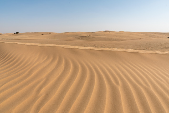 Fascinating desert Al Khatim near Abu Dhabi.
A desert adventure tour is a must have! Very impressive!