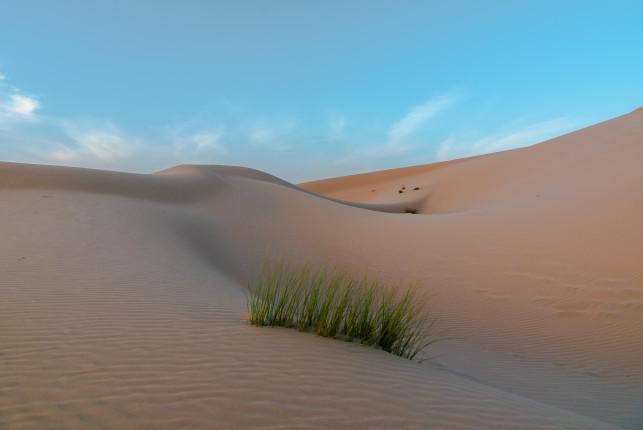 Al Khatim Wüste bei Abu Dhabi.
