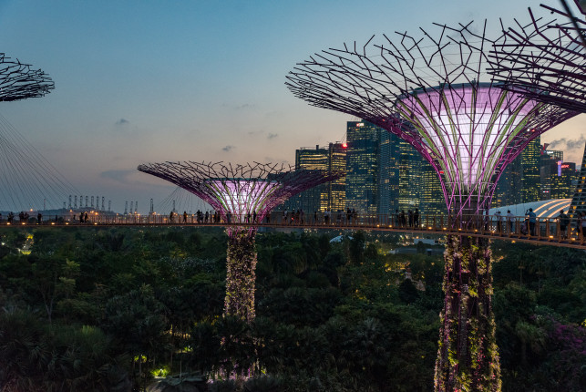 Gardens by the bay ● 35 mm ● 1/60 Sek. bei ƒ / 4,5 ● ISO 3200