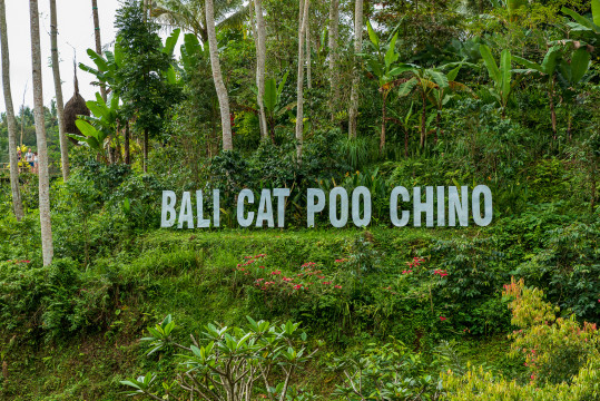 Bali