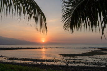 Mayo Resort