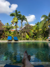 Poolblick Tonis Hotel