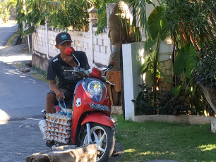 Transportmoped