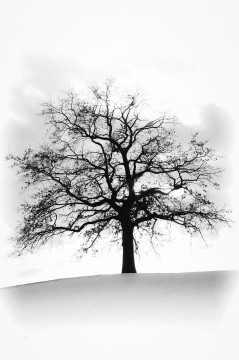 Black and White