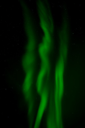 Blick nach oben ● 18 mm ● 8.0 Sek. bei ƒ / 2,8 ● ISO 2000