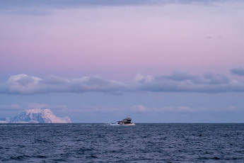 Zartes Licht beim Whalewatching