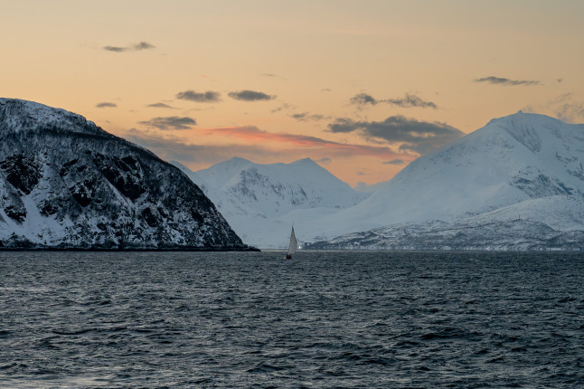 Zartes Licht beim Whalewatching ● 100 mm ● 1/640 Sek. bei ƒ / 7,1 ● ISO 1600