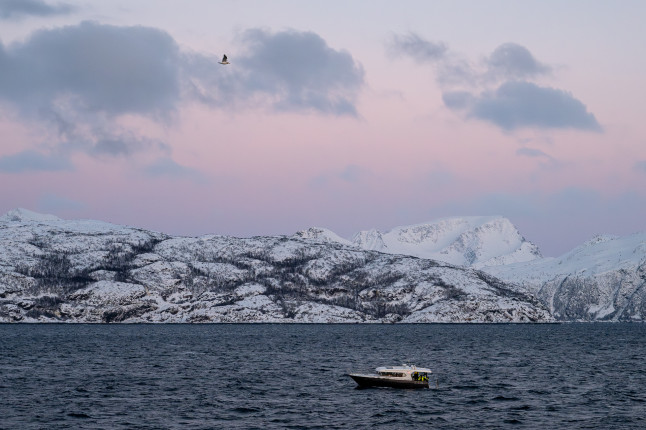 Zartes Licht beim Whalewatching ● 76 mm ● 1/640 Sek. bei ƒ / 7,1 ● ISO 4000