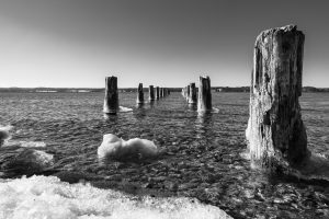 Black and white, Bnw, Deutschland, Eis, Frost, Schwarzweiss, Starnberger See